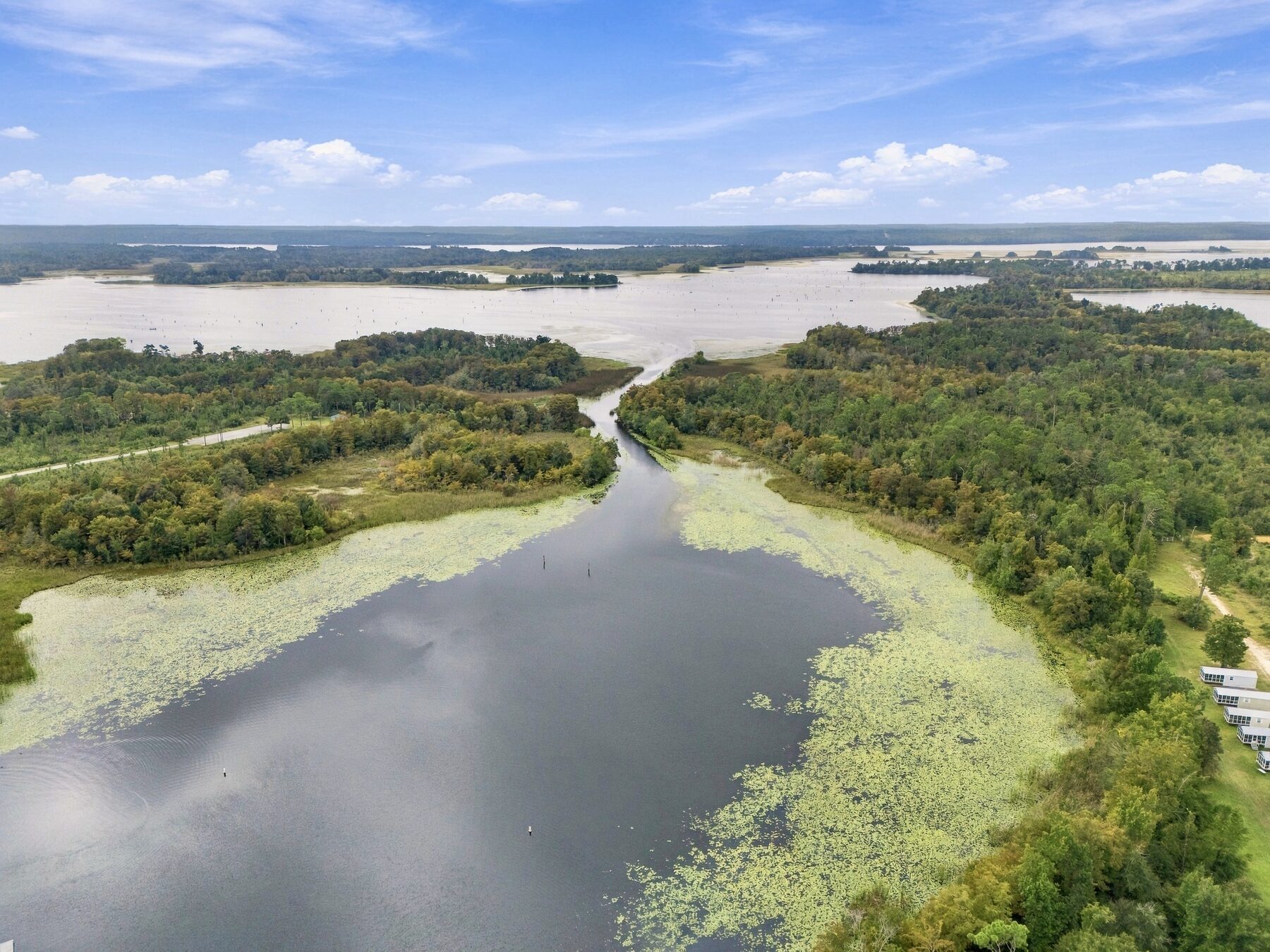 Acreage and tree canopy drone aerial near Dothan